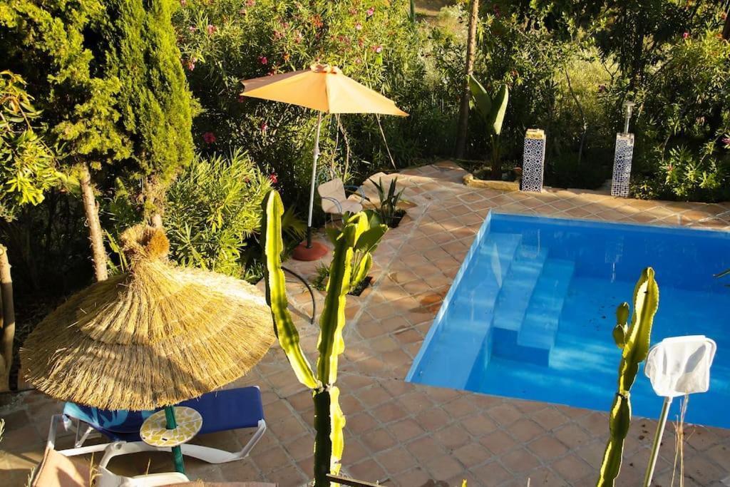 Little Paradise In Fuente Conejo Málaga