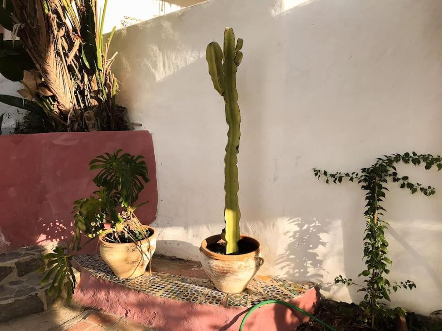 Little Paradise In Fuente Conejo Villa Málaga