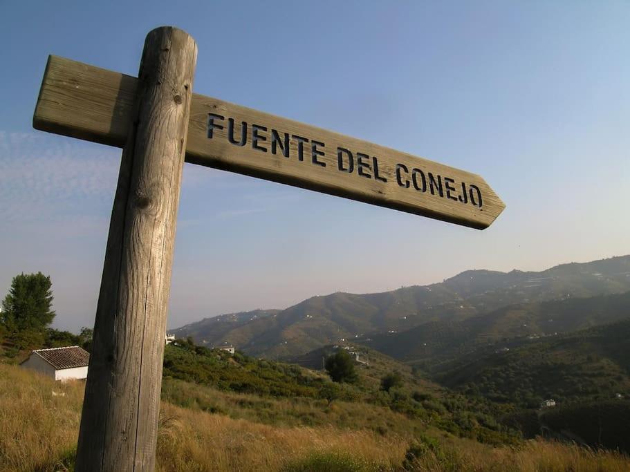 Villa Little Paradise In Fuente Conejo *