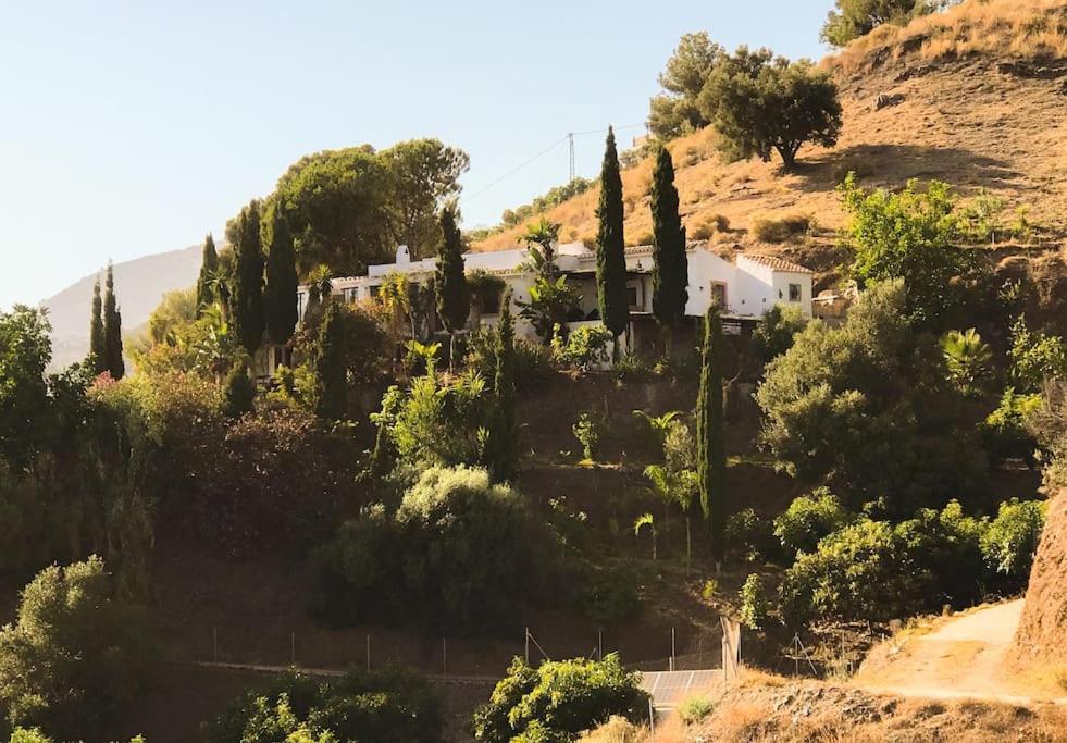 Villa Little Paradise In Fuente Conejo